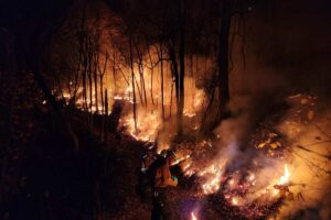 The Quaker Run Fire from a Wildland Firefighter's POV