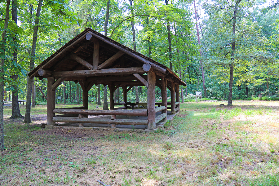 Pet Friendly Conway-Robinson Memorial State Forest