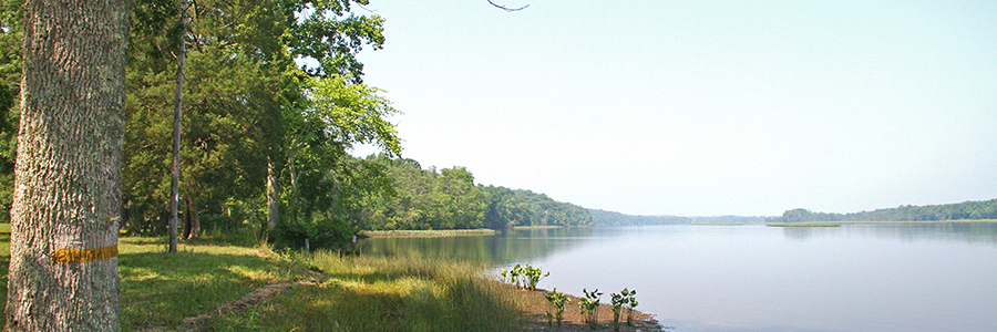 Sandy Point State Forest - Virginia Department of Forestry : Virginia ...