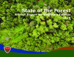 State of the Forest - 2019