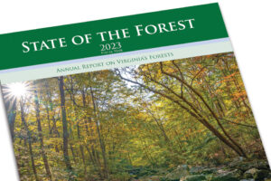 Read our Annual Report<br>"State of the Forest"
