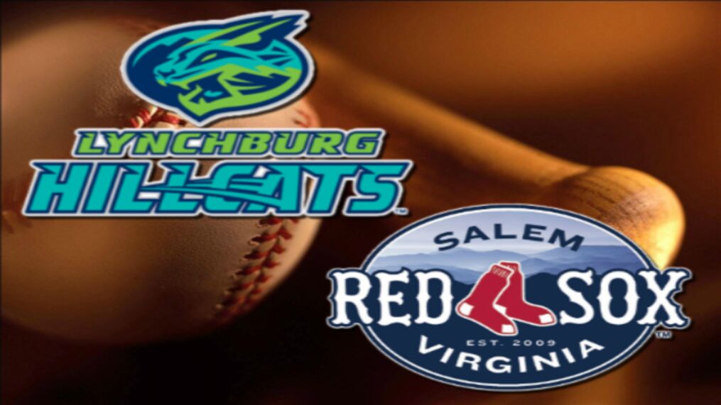 DOF Sponsored Minor League Baseball Game: Salem Red Sox vs Lynchburg Hillcats