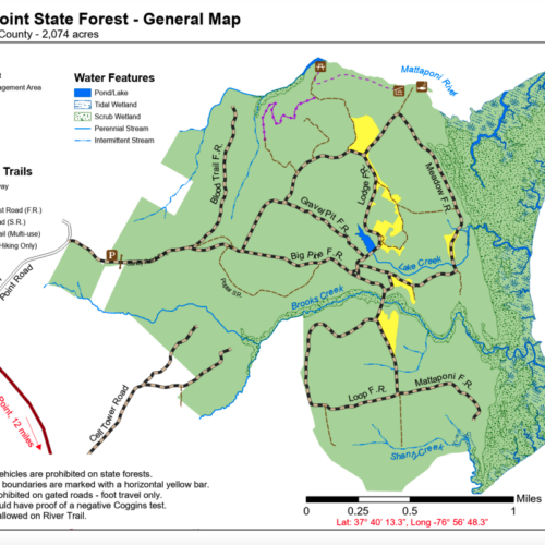 State Forest Maps and Hunting Briefs Available