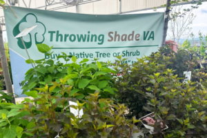 Throwing Shade VA Program Grows<br>to 13 Retail Nursery Locations