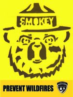 Smokey Bear Face Pumpkin Pattern