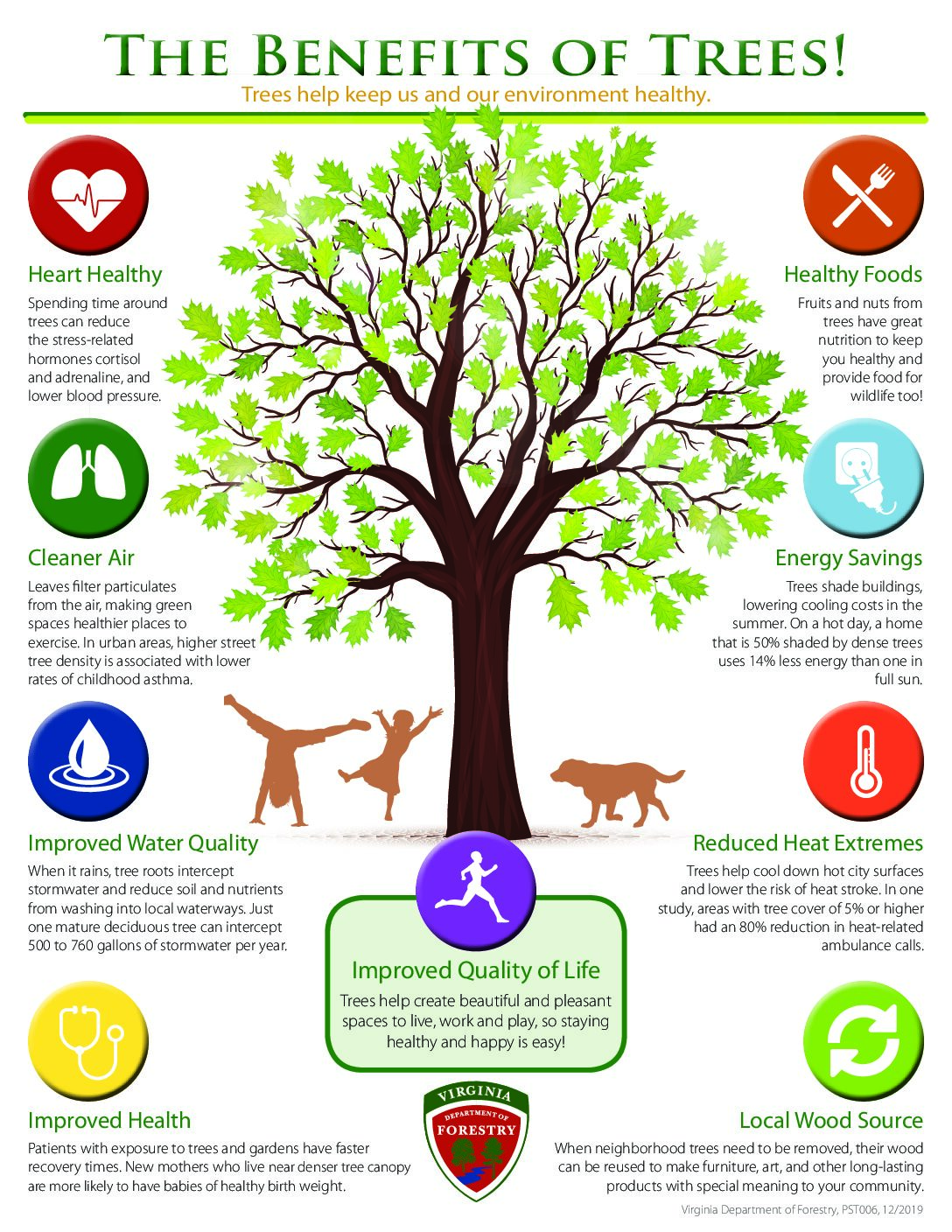 Benefits Of Trees In Communities Virginia Department Of Forestry
