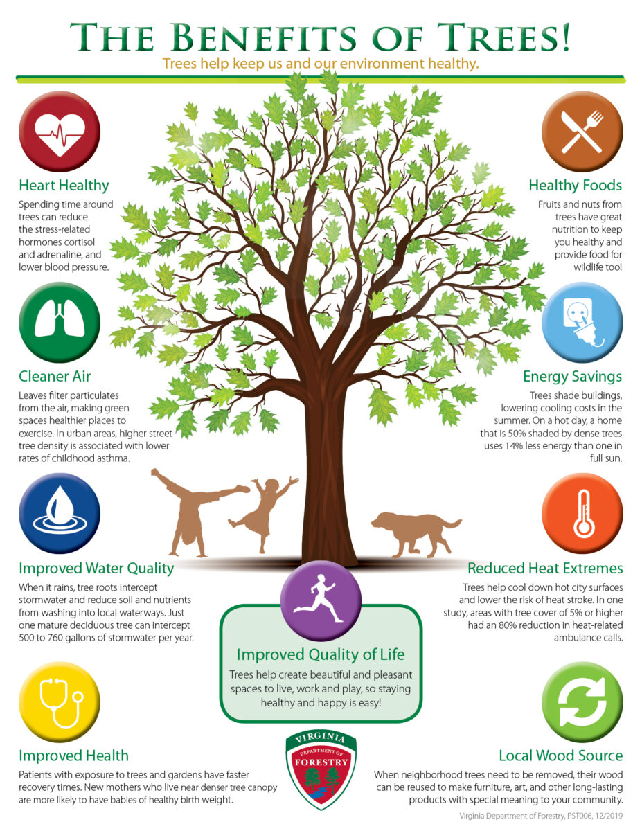 Benefits of Trees - Virginia Department of Forestry : Virginia
