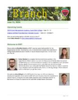The Branch Employee Newsletter 2024-06-11