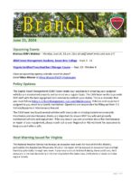 The Branch Employee Newsletter 2024-06-21