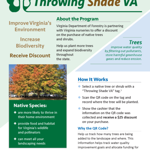Throwing Shade VA - Program Flyer (png)