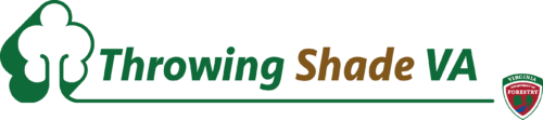 Throwing Shade Logo