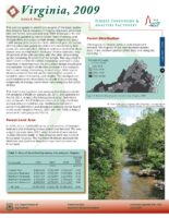 Forest Inventory and Analysis Factsheet - Virginia, 2009