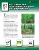 Oak Shelterwood: A Technique to Improve Oak Regeneration