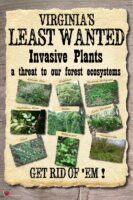 Virginia's Least Wanted - Invasive Plants