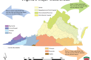Virginia's Major Watersheds Map