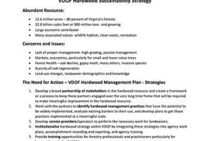 DOF Hardwood Sustainablity Strategy