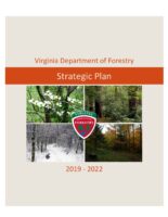 DOF Strategic Plan 2019-2022
