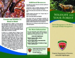 Wildlife and Your Forest