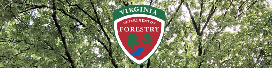 About the Virginia Department of Forestry