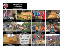 Urban Wood Utilization Artwork (HQ)