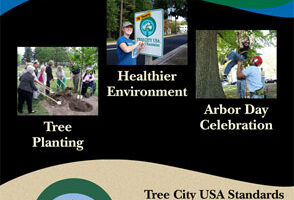 Tree City USA Banner-up (HQ) - 1