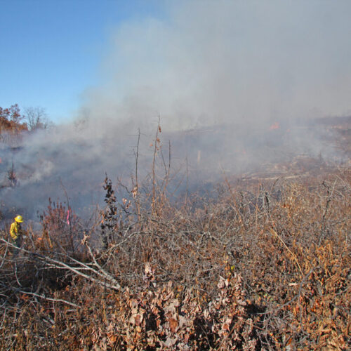 Registration Open for Virginia Certified Prescribed Burn Managers Course