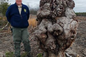 Field Notes: What's in the Woods Today? Dec. 12, 2017