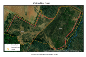 What's Happening at Whitney State Forest?: Part One