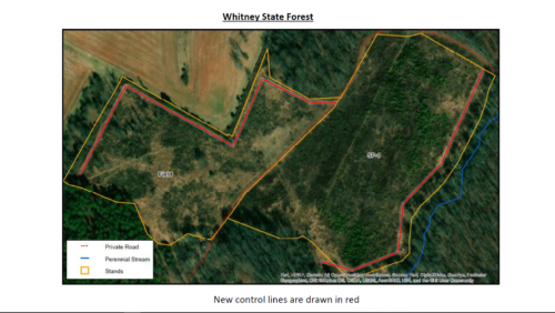 What's Happening at Whitney State Forest?: Part One