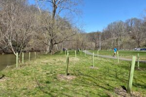 Community Forest Revitalization Program