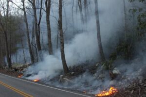 Virginia Department of Forestry Warns of Increased Fire Danger