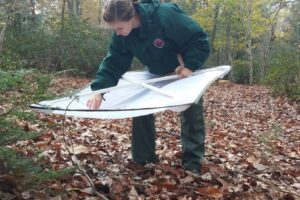 Forest Health: A Winter Pest Survey