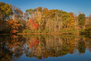 Virginia Fall Foliage Report: UPDATE (Weekend of Nov. 11)