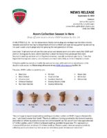 Acorn Collection Season is Here