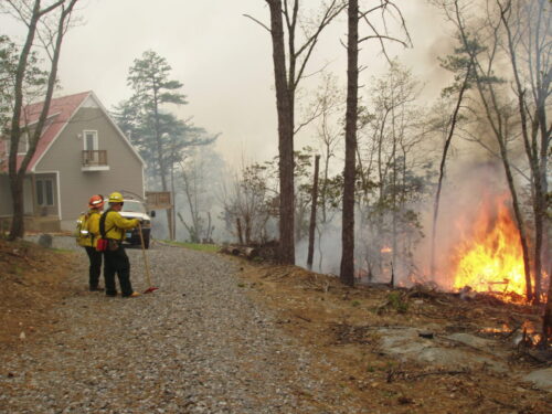 Take Action! May is Wildfire Awareness Month