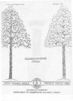 No. 004 Tree Planting Production Rates in Virginia; by R. L. Marler