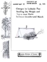 No. 050 Changes in Loblolly Pine Seedling Dry Weight and Top to Root Ratio Between October and March; by J. W. Garner and T. A. Dierauf