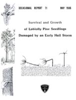 No. 071 Survival and Growth of Loblolly Pine Seedlings Damaged by an Early Hail Storm; by T. A. Dierauf, R. S. Jenkins, and D. L. Hixson