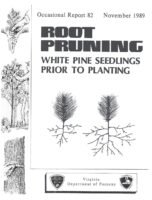 No. 082 Root Pruning White Pine Seedlings Prior to Planting; by T. A. Dierauf and H. Hannah
