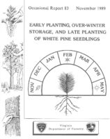 No. 083 Early Planting, Over-Winter Storage, and Late Planting of White Pine Seedlings; by T. A. Dierauf