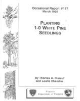 No. 117 Planting 1-0 White Pine Seedlings; by T. A. Dierauf and L. A. Chandler